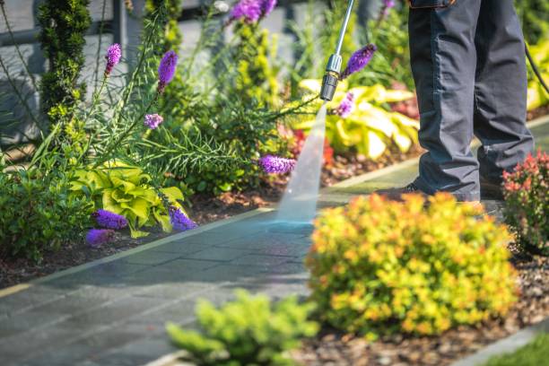 Best Parking Lot and Garage Cleaning  in Leesburg, OH
